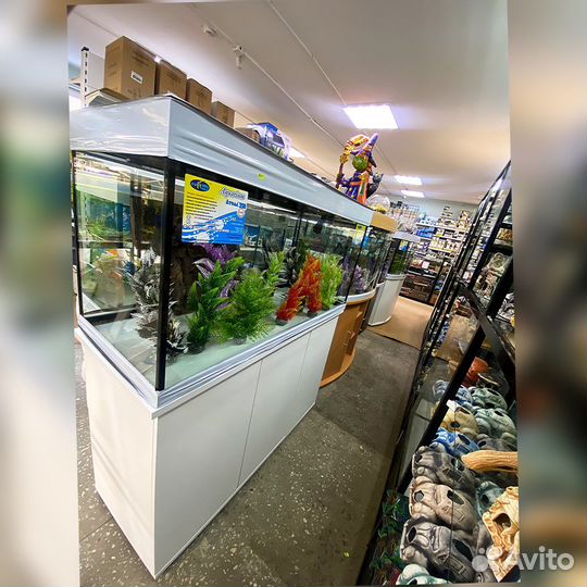 Аквариум в ассортименте