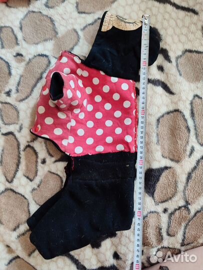 Одежда для собак мелких пород