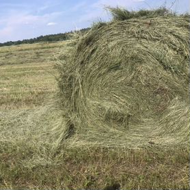 Сено луговое