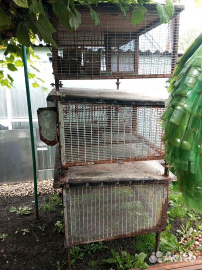 Клетка для кроликов, цена договорная