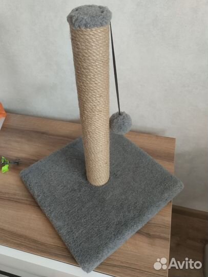 Когтеточка