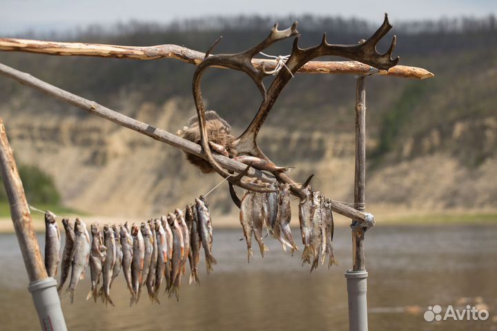 Отдых и рыбалка на реке Амга
