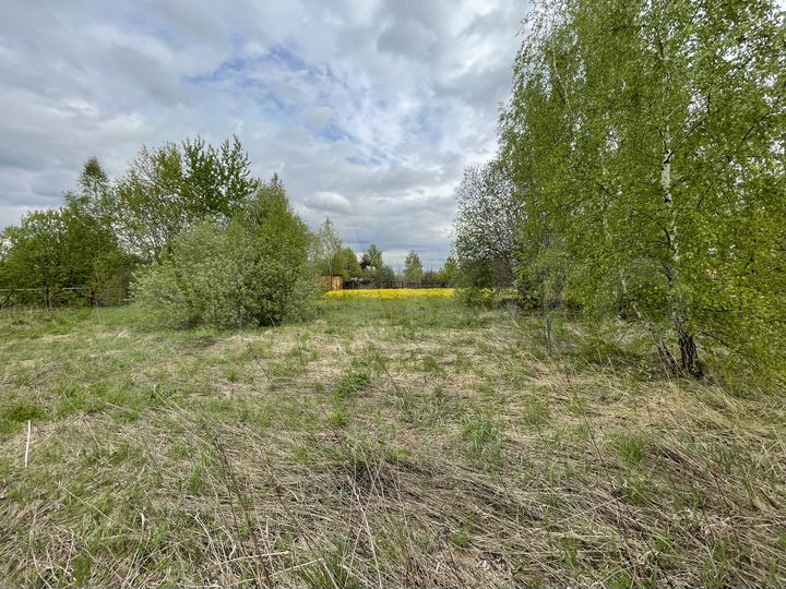 Участок 24 сот. (СНТ, ДНП)