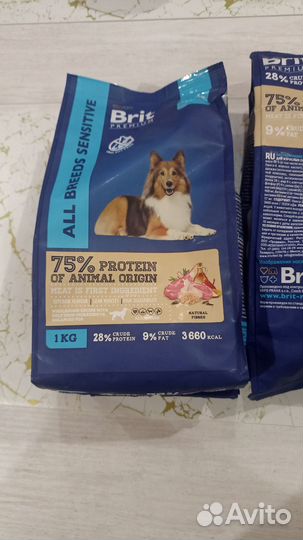 Корм для собак brit premium ягненок и индейка