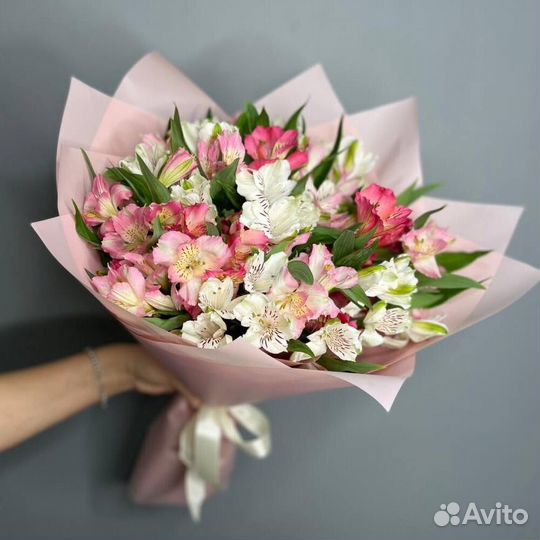 Альстромерия Альстромерии