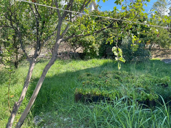 Участок 3,6 сот. (ИЖС)