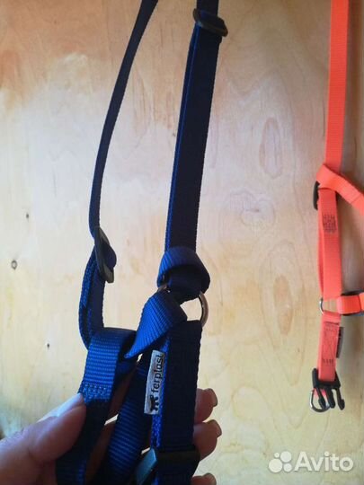 Шлейки для щенков