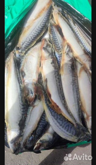 Рыба свежемороженая