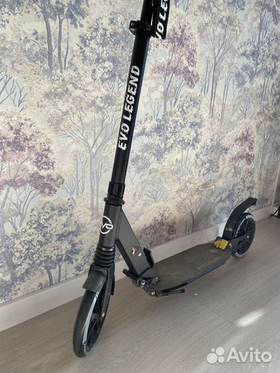 Самокат городской Eco Legend
