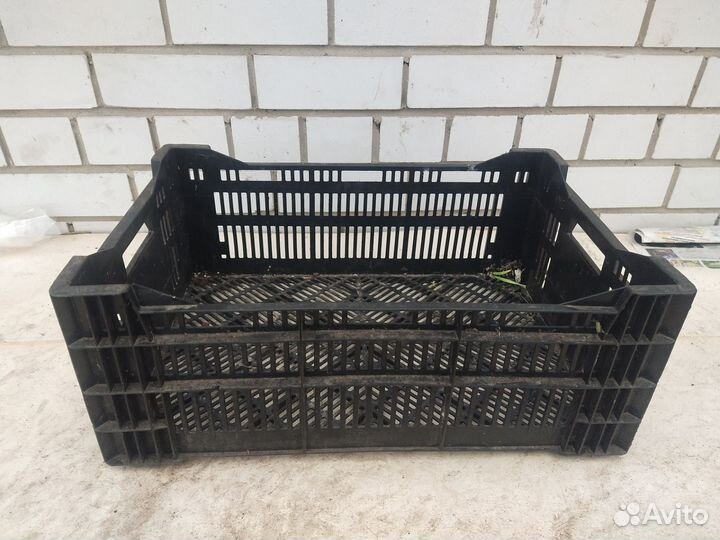 Ящики из под тюльпанов