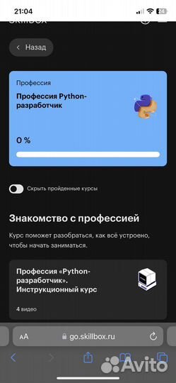 Профессия Python разработчик