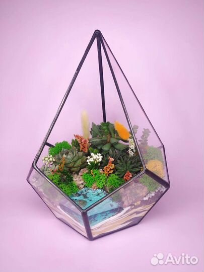 Флорариумы