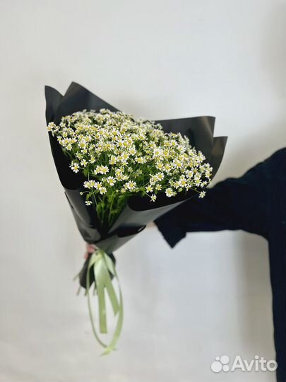 Моно букет из 17 Ромашек в матовой бумаге