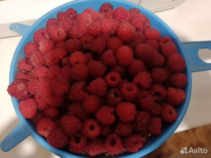 Вишня и малина