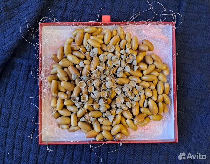 Природные материалы для поделок в сад в школу