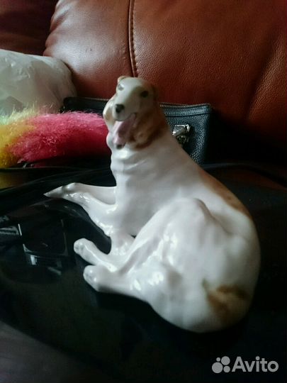 Русская борзая лфз