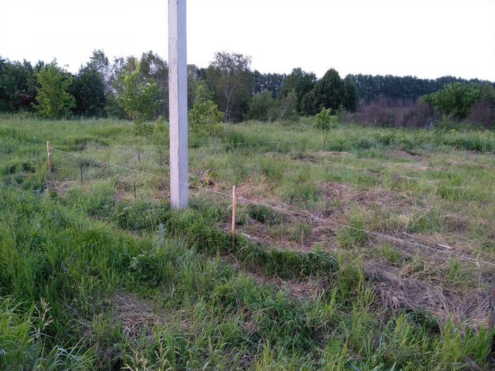 Участок 6 сот. (СНТ, ДНП)