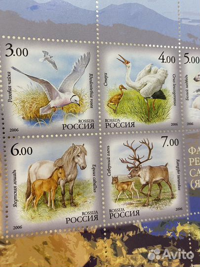 Почтовые марки негашеные Россия фауна 2006