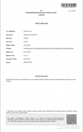 Репетитор по английскому и турецкому онлайн