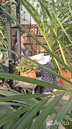 Мастер-класс Живопись в оранжерее, уроки рисования