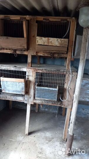 Клетка для кролика