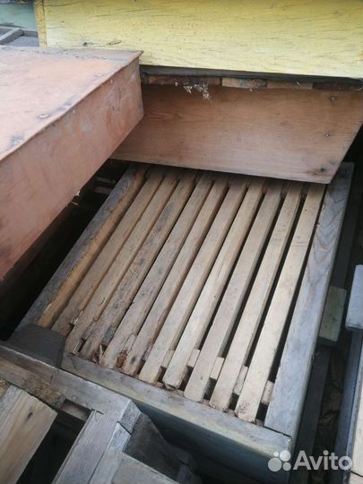 Ульи для пчел