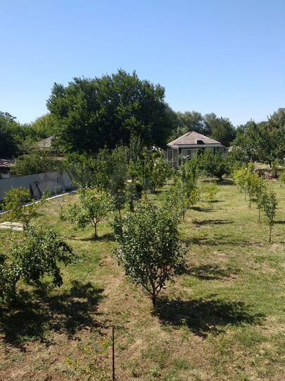 Дача 56,7 м² на участке 13 сот.