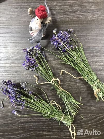 Лаванда (сухой букетик)
