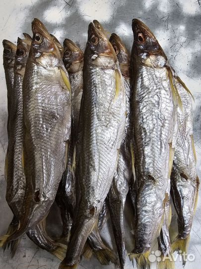 Корюшка вяленая Сахалин