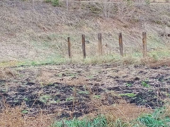 Участок 10 сот. (СНТ, ДНП)