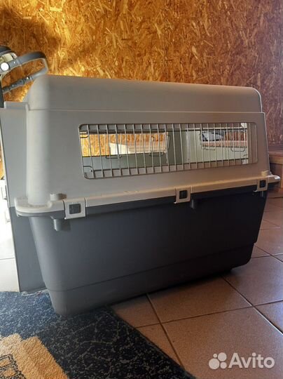 Переноска для авиаперелетов