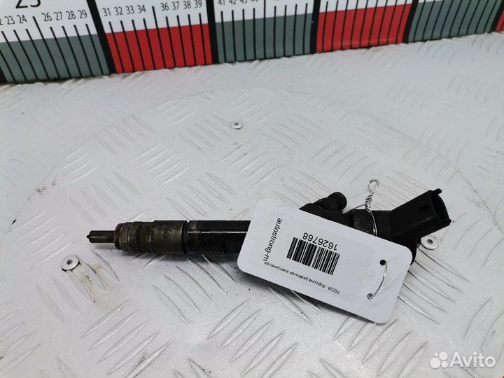 Форсунка для Renault Scenic 2