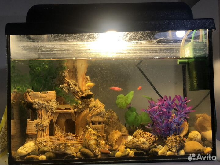 Аквариум с рыбками