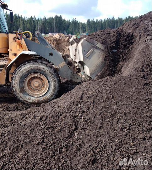 Земля Торфогрунт Почвогрунт