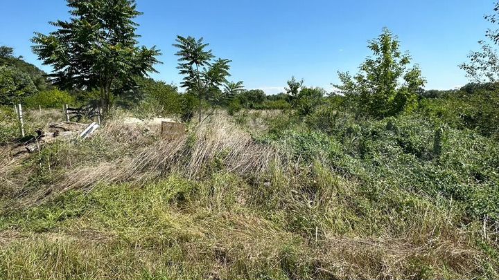 Участок 6 сот. (ИЖС)