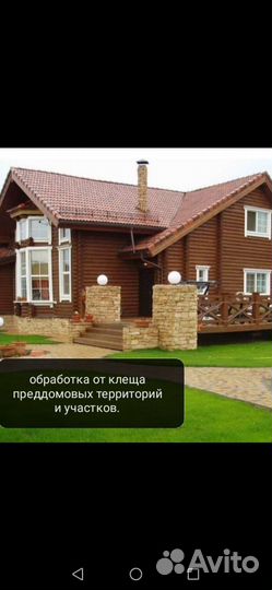 Уничтожение насекомых