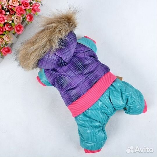 Одежда для маленький собачек