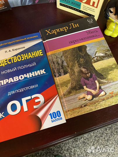 Книги, цены в подписи к товару