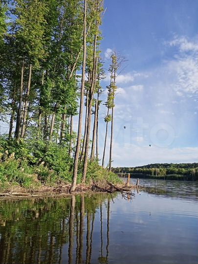 Участок 15 сот. (СНТ, ДНП)