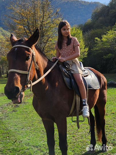 Туры в Абхазию с комфортом, фототуры