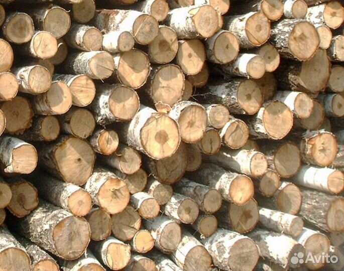 Лес кругляк береза