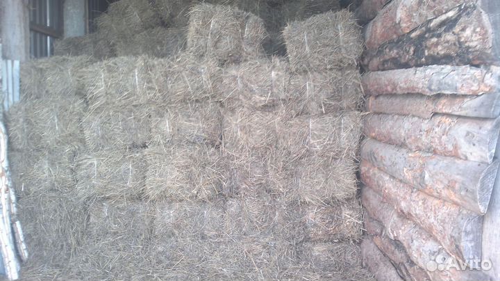 Сено в брикетах