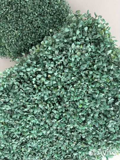 Искуственная трава самшит