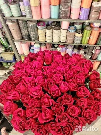 Высокие розы Гигантские розы 110