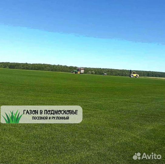 Рулонный газон