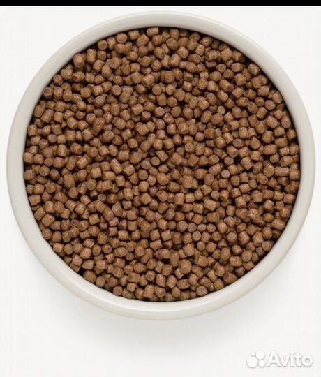 Сухой корм для котят холистик