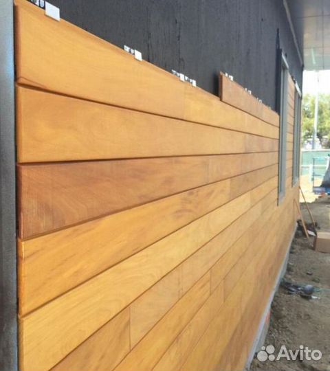 Планкен гарапа PLM-9679