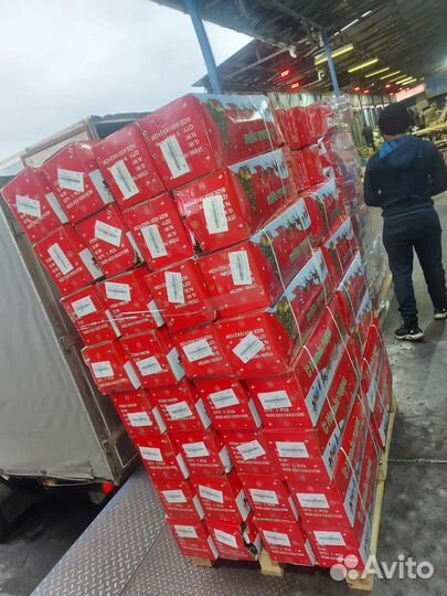 Искусственные елки оптом. Ель Альпийская оптом