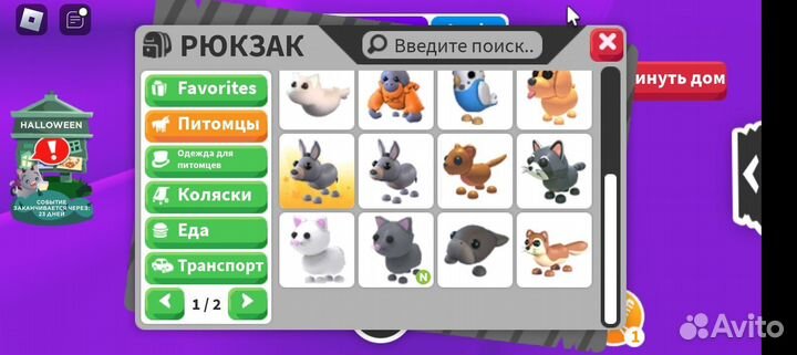 Петы в адопт ми деньги