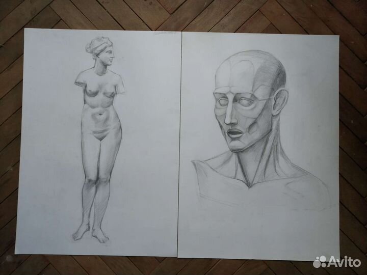 Академический рисунок А2. Гипсовая голова, натура